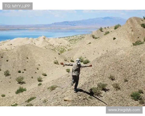 刘军的排球之路：从赛场到人生的精彩对话与回忆